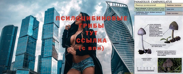 Альфа ПВП Алексин