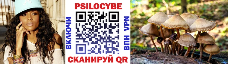 Галлюциногенные грибы Psilocybine cubensis  Искитим 